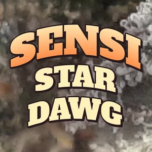 Sensi Star Dawg Cannabis Strain