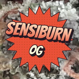 Sensiburn OG Cannabis Strain