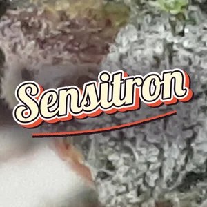 Sensitron Cannabis Strain
