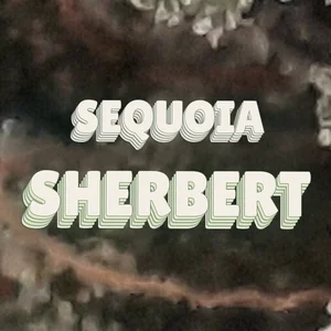 Sequoia Sherbert Cannabis Strain