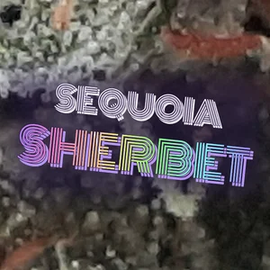 Sequoia Sherbet Cannabis Strain