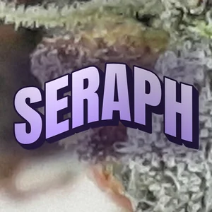 Seraph Cannabis Strain