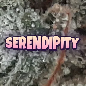 Serendipity Cannabis Strain