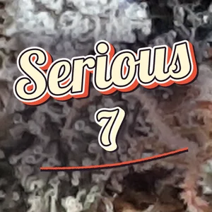 Serious 7 Cannabis Strain