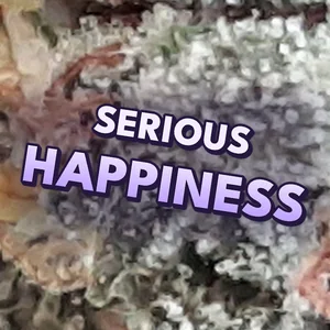 Serious Happiness Cannabis Strain