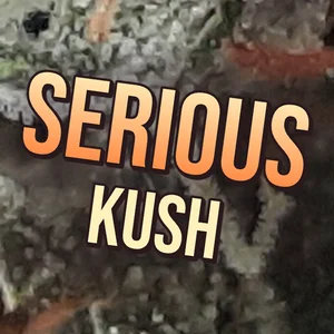 Serious Kush Cannabis Strain
