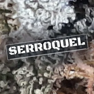 Serroquel Cannabis Strain