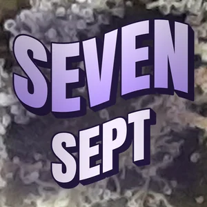 Seven Sept Cannabis Strain
