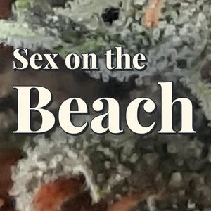 Sex on the Beach Cannabis Strain