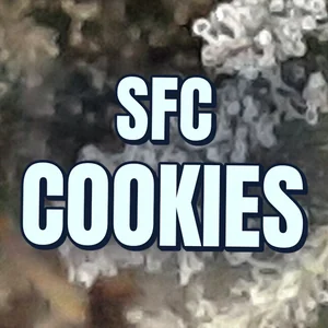 SFC Cookies Cannabis Strain