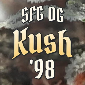 SFG OG Kush '98 Cannabis Strain