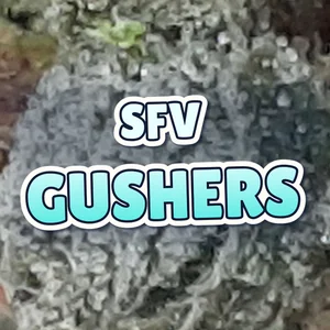 SFV Gushers Cannabis Strain