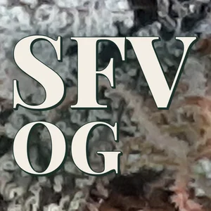 SFV OG Cannabis Strain