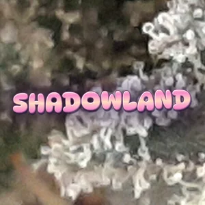 Shadowland Cannabis Strain