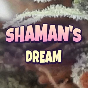 Shaman's Dream Cannabis Strain
