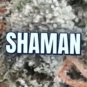 Shaman Cannabis Strain