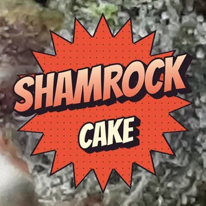 Shamrock Cake Cannabis Strain