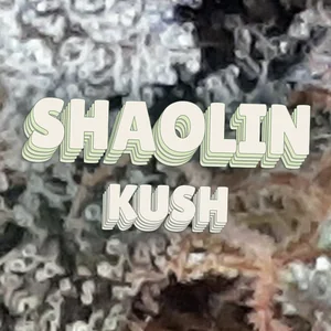 Shaolin Kush Cannabis Strain