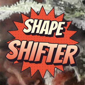 Shape Shifter Cannabis Strain