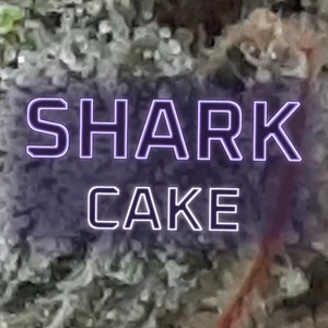 Shark Cake Cannabis Strain