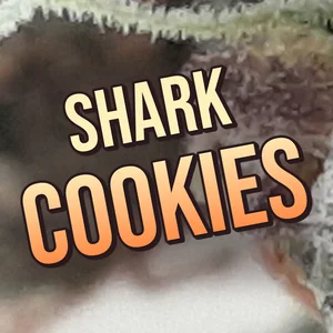 Shark Cookies Cannabis Strain