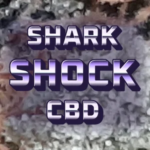 Shark Shock CBD Cannabis Strain