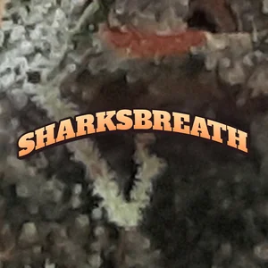 Sharksbreath Cannabis Strain
