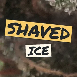 Shaved Ice Cannabis Strain