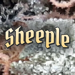 Sheeple Cannabis Strain