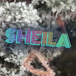 Sheila Cannabis Strain