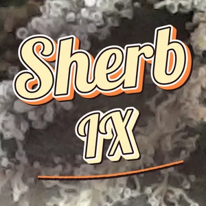 Sherb IX Cannabis Strain
