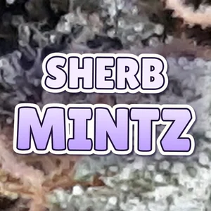 Sherb Mintz Cannabis Strain