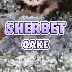 Sherbet Cake Cannabis Strain