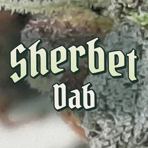 Sherbet Dab Cannabis Strain