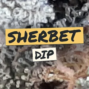 Sherbet Dip Cannabis Strain