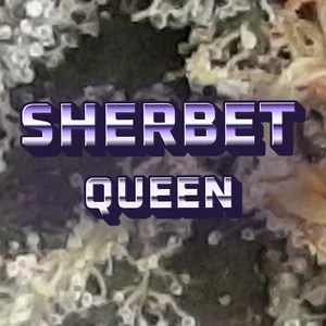 Sherbet Queen Cannabis Strain