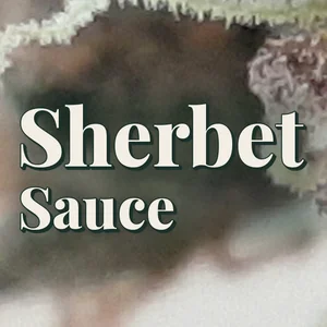 Sherbet Sauce Cannabis Strain