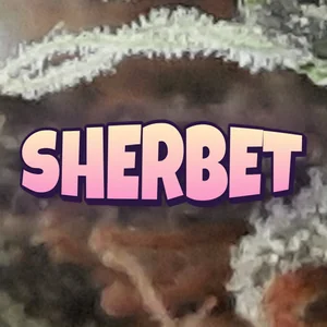 Sherbet Cannabis Strain
