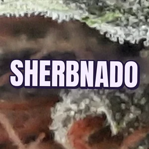 Sherbnado Cannabis Strain
