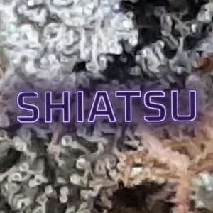 Shiatsu Cannabis Strain