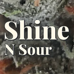 Shine N Sour Cannabis Strain