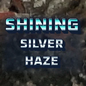 Shining Silver Haze Cannabis Strain