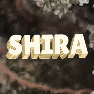 Shira Cannabis Strain