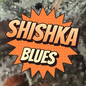 Shishka Blues Cannabis Strain