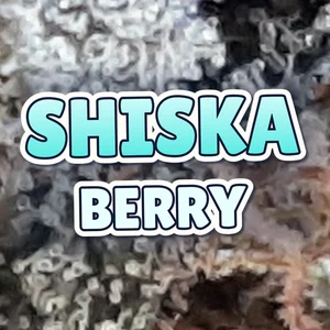 Shiska Berry Cannabis Strain
