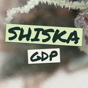 Shiska GDP Cannabis Strain