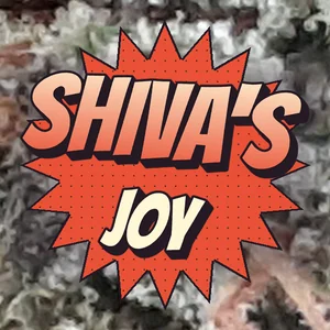 Shiva's Joy Cannabis Strain