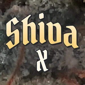 Shiva X Cannabis Strain