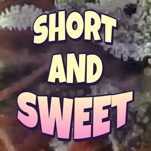 Short and Sweet Cannabis Strain