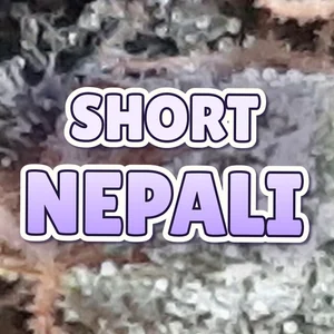Short Nepali Cannabis Strain
